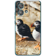 Чехол BoxFace Motorola Edge 40 Neo 