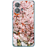 Чехол BoxFace Motorola Edge 40 Neo 