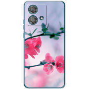 Чехол BoxFace Motorola Edge 40 Neo 