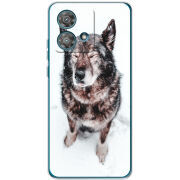 Чехол BoxFace Motorola Edge 40 Neo 