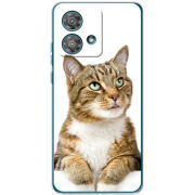 Чехол BoxFace Motorola Edge 40 Neo 