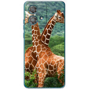 Чехол BoxFace Motorola Edge 40 Neo 