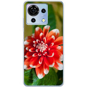 Чехол BoxFace ZTE Blade V50 Vita 