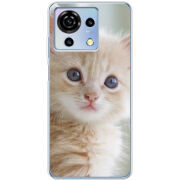 Чехол BoxFace ZTE Blade V50 Vita Animation Kittens