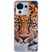 Чехол BoxFace ZTE Blade V50 Vita 