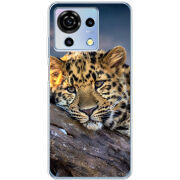 Чехол BoxFace ZTE Blade V50 Vita 