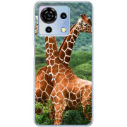 Чехол BoxFace ZTE Blade V50 Vita 