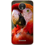 Чехол Uprint Motorola Moto C Plus XT1723 