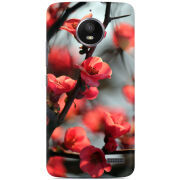 Чехол Uprint Motorola Moto E XT1762 Awakening Spring