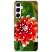 Чехол BoxFace Samsung Galaxy A55 5G (A556) 