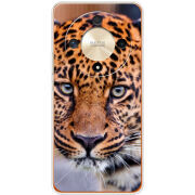 Чехол BoxFace Honor Magic 6 Lite 5G 