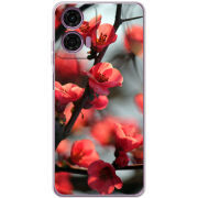 Чехол BoxFace Motorola G04 Awakening Spring