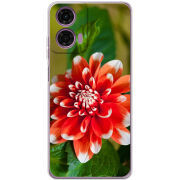 Чехол BoxFace Motorola G04 