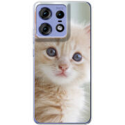 Чехол BoxFace Motorola Edge 50 Pro Animation Kittens