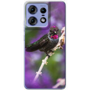 Чехол BoxFace Motorola Edge 50 Pro 