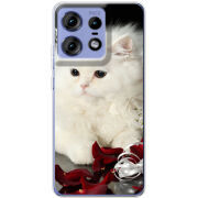 Чехол BoxFace Motorola Edge 50 Pro Fluffy Cat