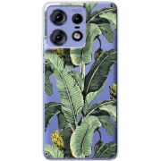 Прозрачный чехол BoxFace Motorola Edge 50 Pro Banana Leaves