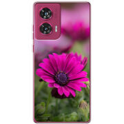 Чехол BoxFace Motorola Edge 50 Fusion 