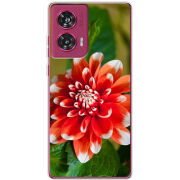 Чехол BoxFace Motorola Edge 50 Fusion 