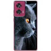 Чехол BoxFace Motorola Edge 50 Fusion English cat