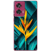 Чехол BoxFace Motorola Edge 50 Fusion 