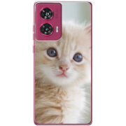 Чехол BoxFace Motorola Edge 50 Fusion Animation Kittens