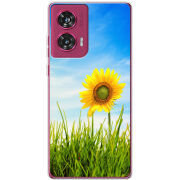 Чехол BoxFace Motorola Edge 50 Fusion Sunflower Heaven