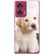 Чехол BoxFace Motorola Edge 50 Fusion Puppy Labrador