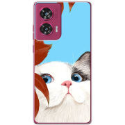 Чехол BoxFace Motorola Edge 50 Fusion Wondering Cat