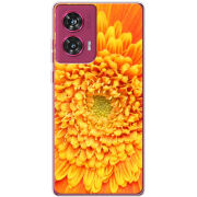 Чехол BoxFace Motorola Edge 50 Fusion 