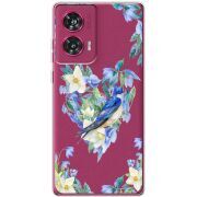 Прозрачный чехол BoxFace Motorola Edge 50 Fusion Spring Bird