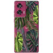 Прозрачный чехол BoxFace Motorola Edge 50 Fusion Palm Tree