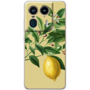 Чехол BoxFace Motorola Edge 50 Ultra 