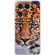 Чехол BoxFace Motorola Edge 50 Ultra 