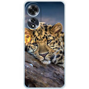 Чехол BoxFace OPPO A60 