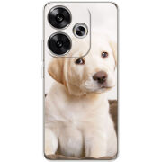 Чехол BoxFace Poco F6 Puppy Labrador