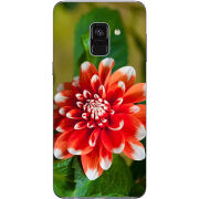 Чехол Uprint Samsung A730 Galaxy A8 Plus 2018 