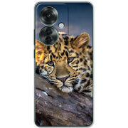 Чехол BoxFace OPPO Reno 11 F 
