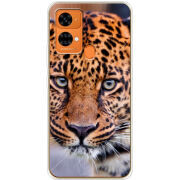 Чехол BoxFace Oukitel C33 