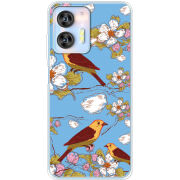Чехол BoxFace Oukitel C36 