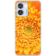 Чехол BoxFace Oukitel C36 