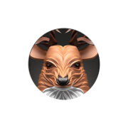 Uprint Popsocket 