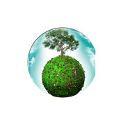 Uprint Popsocket 