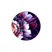 Uprint Popsocket 