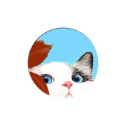 Uprint Popsocket Wondering Cat