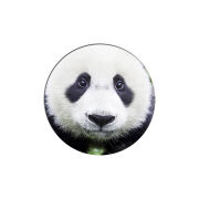Uprint Popsocket 