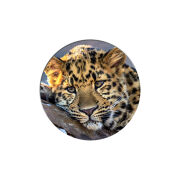 Uprint Popsocket 
