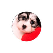 Uprint Popsocket 