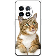 Чехол BoxFace OnePlus 11 