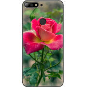 Чехол Uprint Huawei Y7 Prime 2018 / Honor 7C Pro 
